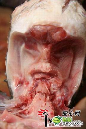 Penampakan Wajah Manusia Pada Daging Ikan Mas di China