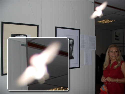 Hantu Burung pada sebuah pameran di Italia